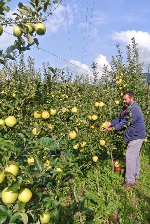 Agriturismo Bortolotti แปร์จีนา วัลซูกานา ภายนอก รูปภาพ