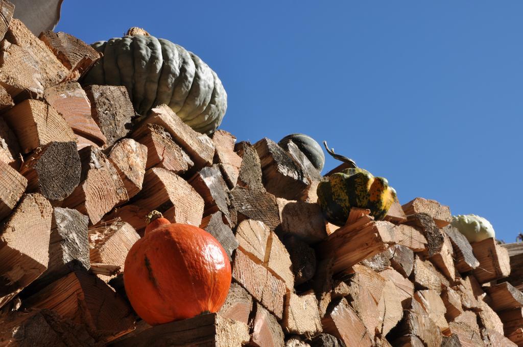 Agriturismo Bortolotti แปร์จีนา วัลซูกานา ภายนอก รูปภาพ